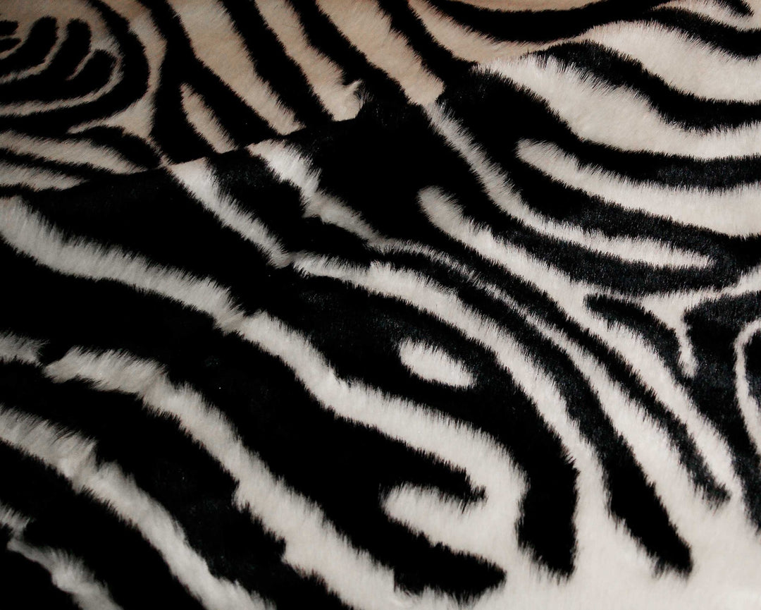 2' X 3' Black and White Zebra Print Area Rug