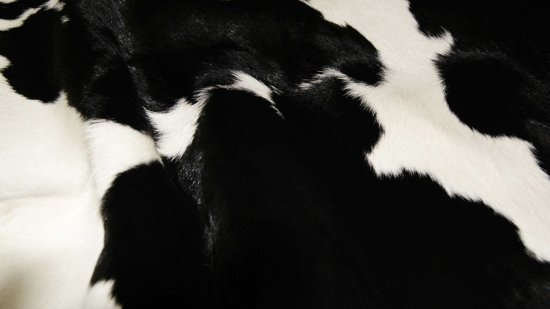 2' X 3' Black and White Cowhide Hand Woven Area Rug